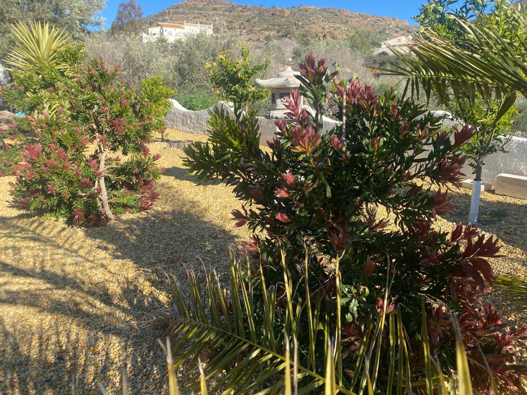 Cortijo Los Corazones Cantoria Εξωτερικό φωτογραφία